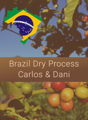 Brazil Dry Process Carlos & Dani