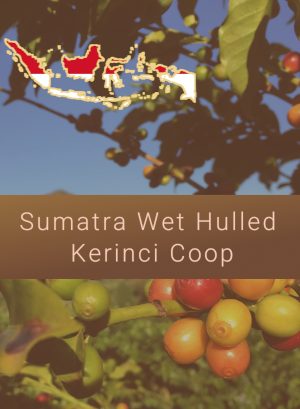Sumatra Wet Hulled Kerinci Coop