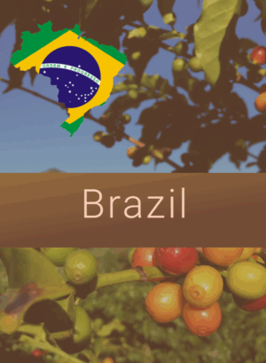 Brazil coffee image