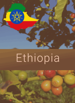Ethiopia coffee image