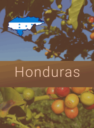 Honduras coffee image