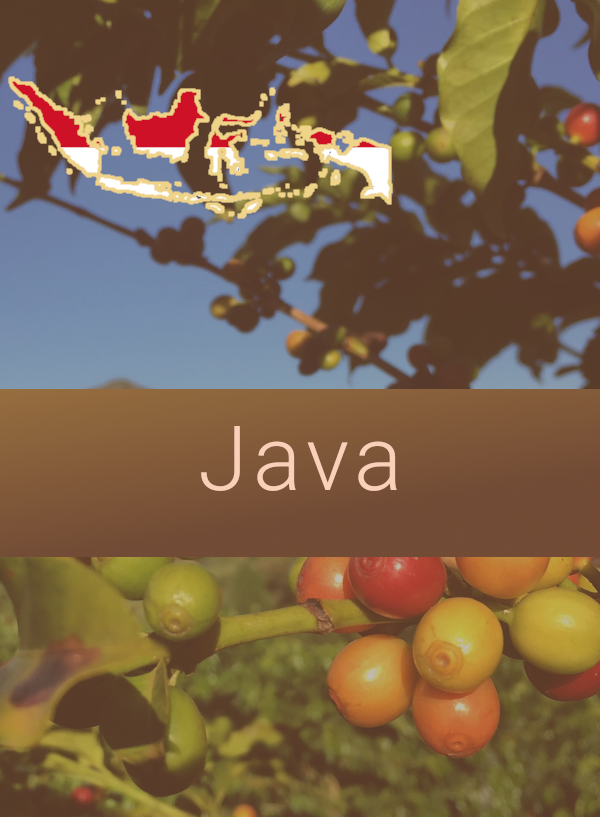 Java Coffee Image
