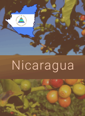 Nicaragua coffee image
